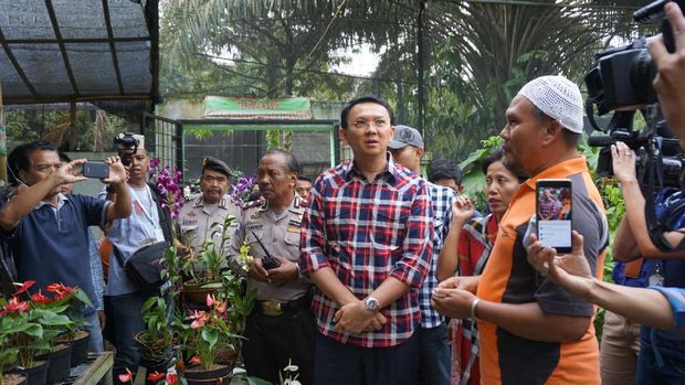 Usai Pelimpahan Bukti di Kejagung, Ahok Blusukan ke Ragunan