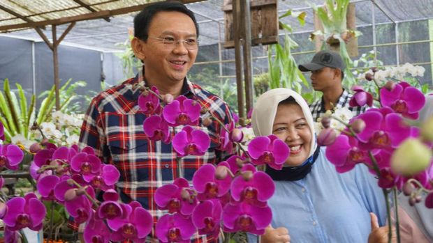 Usai Pelimpahan Bukti di Kejagung, Ahok Blusukan ke Ragunan