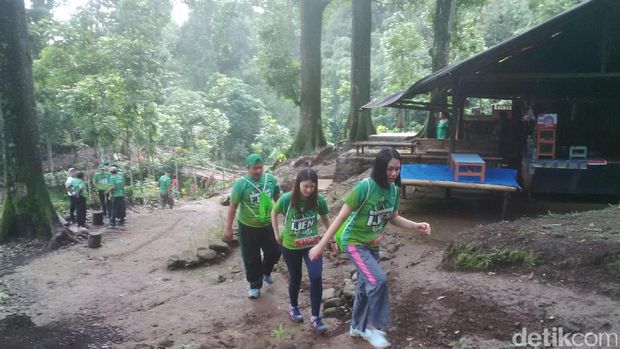 Banyuwangi Ijen Green Run 2016, Suguhan Wisata Alam Berbalut Olahraga