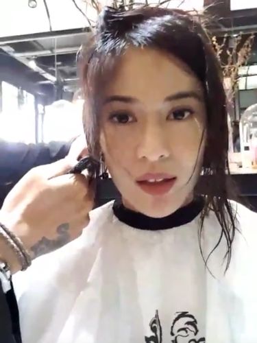 Dian Sastrowardoyo Potong  Rambut  Pendek  Penggemar Protes