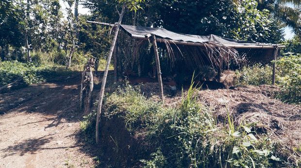 'Harapan,' Dokumenter Miris Kehidupan Pengemis di Bali