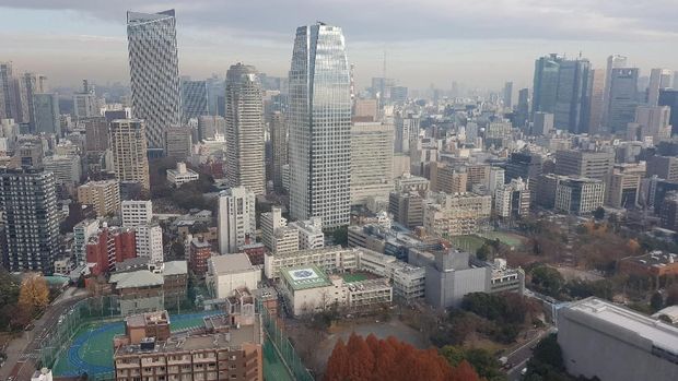 Pemandangan Tokyo dari ketinggian (Elvan/detikTravel)