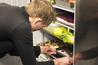 Wouw! Restoran Ini Hanya Punya Satu Orang Pegawai Saja