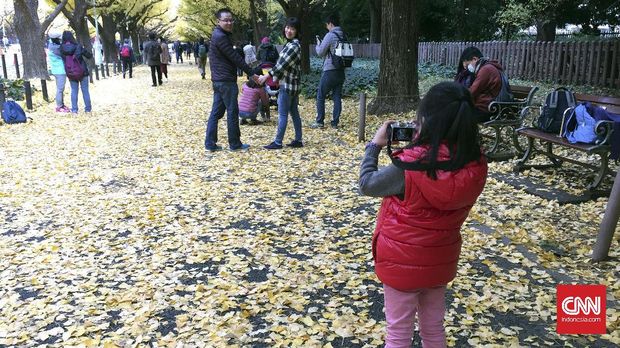 Kedua orang tua meminta anaknya untuk mendokumentasikan pose mereka di Ginkgo Avenue, Meiji Jingu Gaien Park, Tokyo, 23 November 2016. (CNN Indonesia/Rosmiyati Dewi Kandi)
