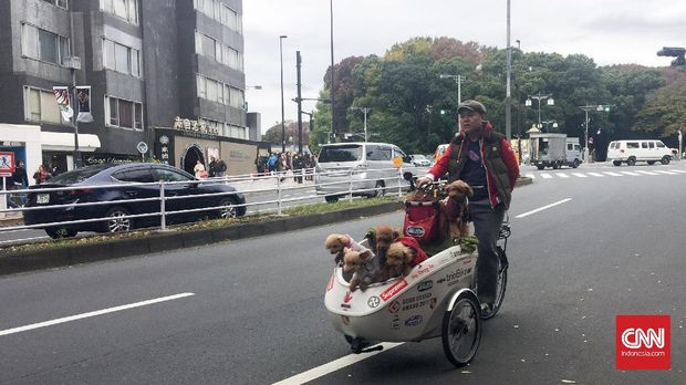 Salah seorang warga menikmati jalanan bersama hewan peliharaannya, di kawasan Harajuku, Tokyo, 23 November 2016. (CNN Indonesia/Rosmiyati Dewi Kandi)