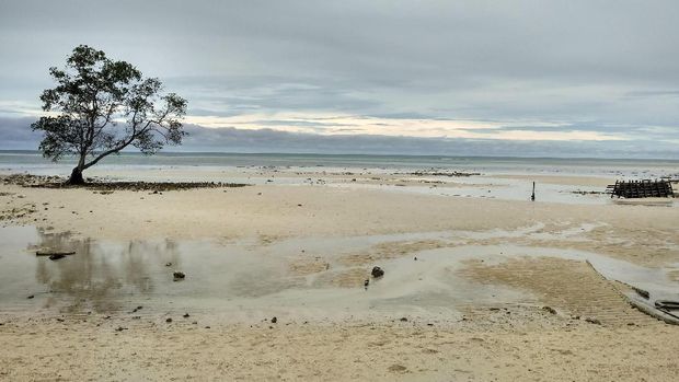 Dia menyarankan agar tidak dibangun pabrik semen di Berau karena dikhawatirkan merusak lingkungan.