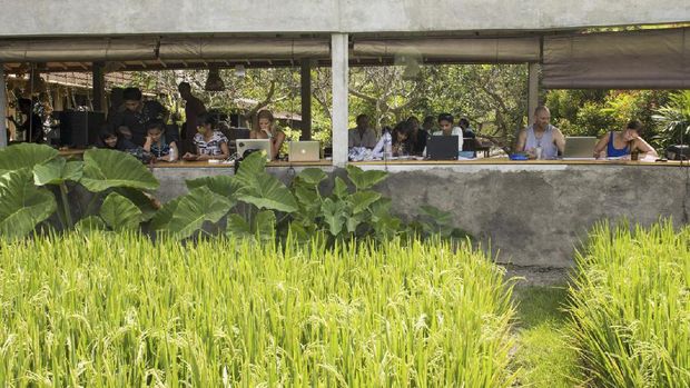 'Co-Working Space,' Pendobrak Tradisi Bekerja Kantoran