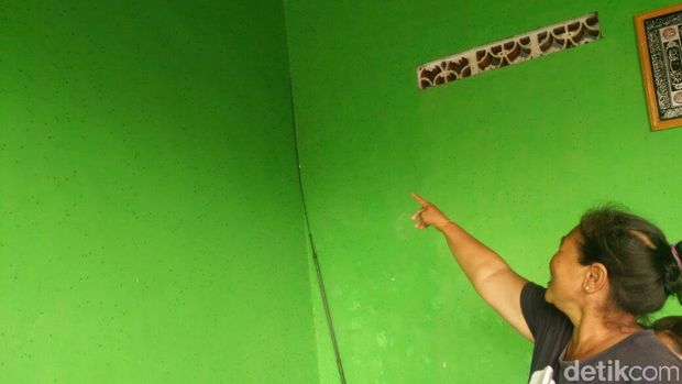 Nyamuk Hijau di Banyuwangi, Makhluk Apakah Sebenarnya?