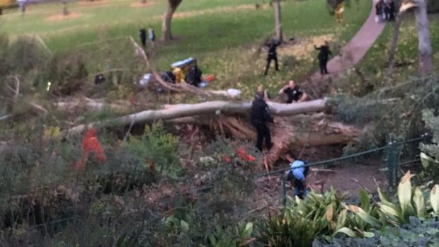 5 Kisah Tragis yang Terjadi di Pesta Pernikahan Sepanjang 2016