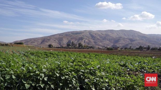 Jordan Valley merupakan salah satu kawasan yang paling subur di Yordania ditunjukkan dengan banyaknya warga yang bercocok tanam