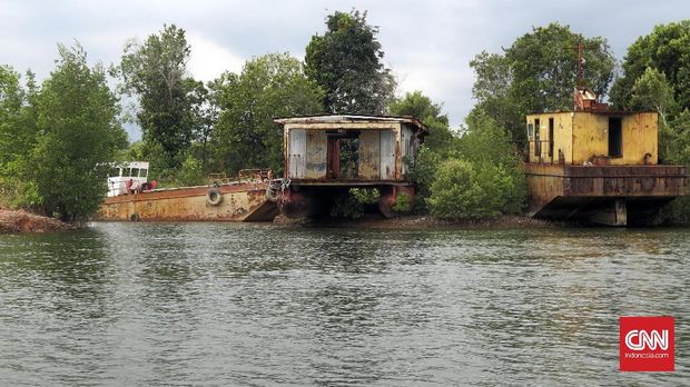 Jelajah Mangrove di Jalur Petilasan Suku Laut