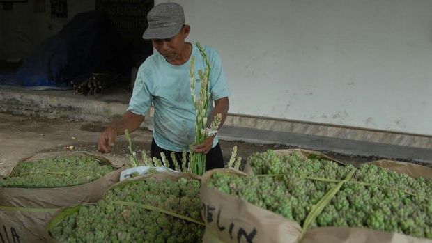 Petani sedap malam di Pasuruan kebanjiran pesanan