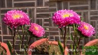 Mengadu Kamera Nokia 6 dengan iPhone 7 Plus