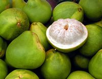 ini makna buah buahan yang populer dalam perayaan imlek ini makna buah buahan yang populer dalam perayaan imlek