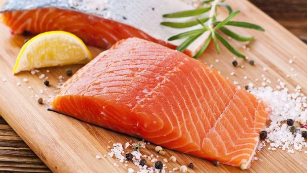 Ikan Salmon
