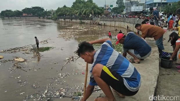 Warga Tangerang Berburu Ikan Sekarat di Sungai Cisadane