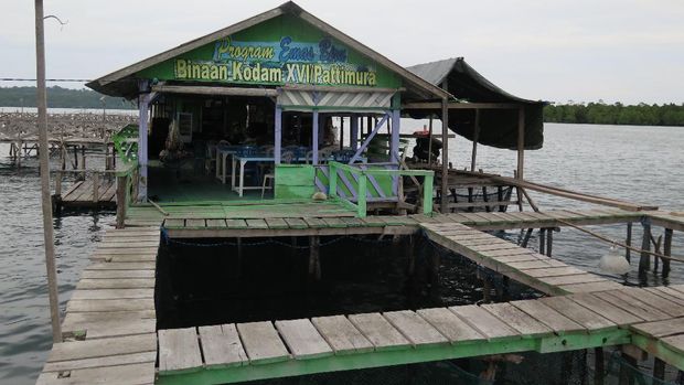 Program 'Emas Biru' Bikin Panen Nelayan Meningkat