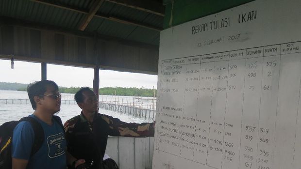 Program 'Emas Biru' Bikin Panen Nelayan Meningkat
