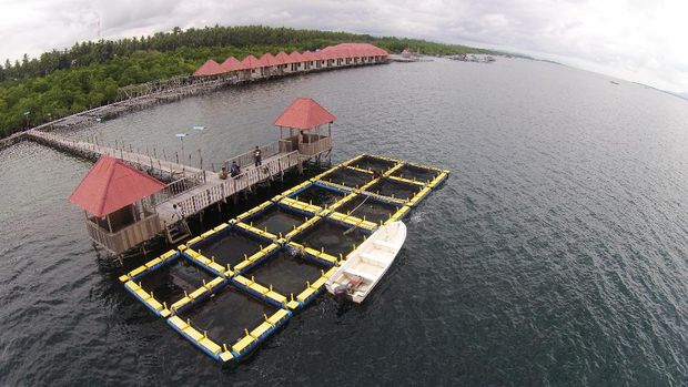 Program 'Emas Biru' Bikin Panen Nelayan Meningkat