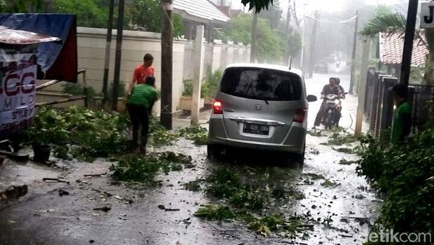 Hujan Deras di Jakarta, Pohon Tumbang di TB Simatupang 