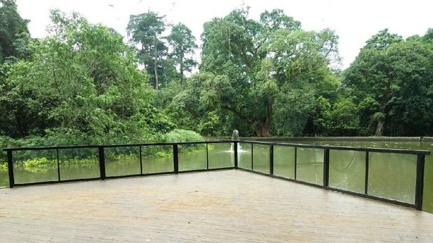 Spot instagenic di Kebun Raya Bogor, pagar kaca di samping kolam teratai (Bonauli/detikTravel)