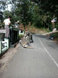 Macan Lucu Cisewu Minta Maaf Kepada TNI AD