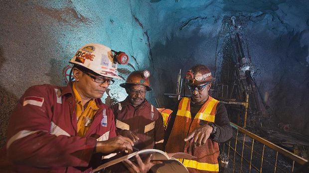 Negosiasi harga divestasi saham Freeport saat ini masih dilakukan Pemerintah dan Freeport.