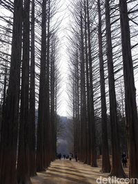 Romantis Layaknya Film Winter Sonata