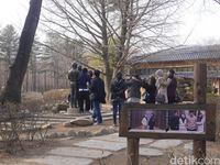 (Kurnia/detikTravel)