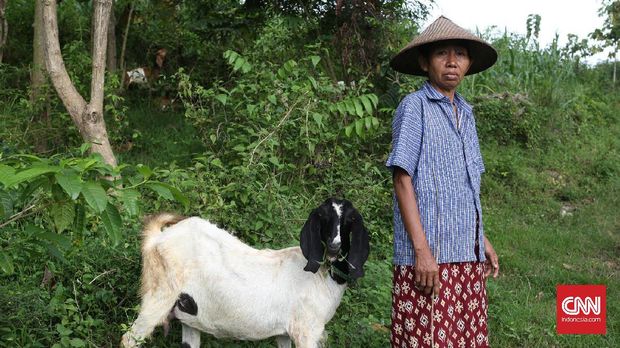Warga desa Tegaldowo mayoritas berprofesi sebagai petani dan peternak. mereka hidup dari sawah dan sayur mayur menjadi pendukung utamanya. Penghasilan utama lainnya adalah dari peternakan dan terutama sapi. CNN Indonesia/Andry Novelino