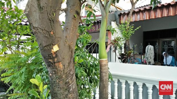 Polisi Temukan Zat Asam di Tiga Lokasi Penyerangan Novel