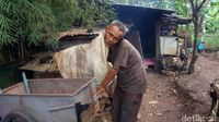 Cerita Penyakit Aneh Tarsa yang Huni Gubuk Derita di Bandung