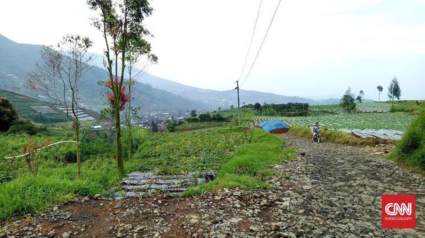 Menjejak Negeri Para Dewa di Dataran Tinggi Dieng