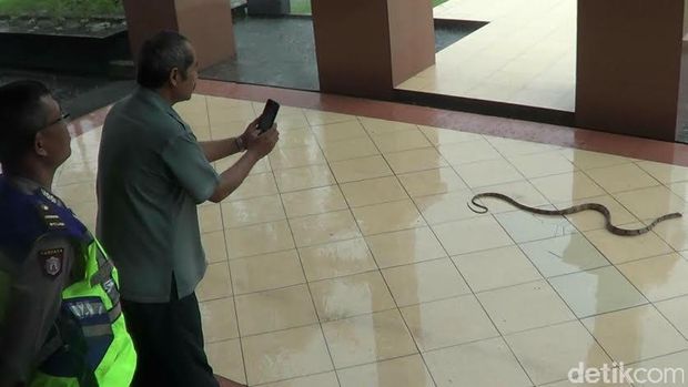 Penampakan Ular Saat Sidang Pembunuhan Siswa SMA Taruna Nusantara