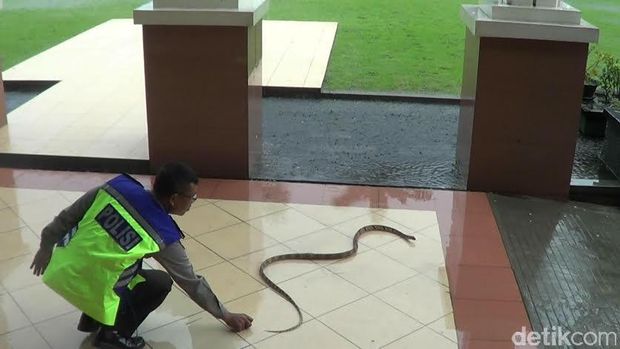 Penampakan Ular Saat Sidang Pembunuhan Siswa SMA Taruna Nusantara