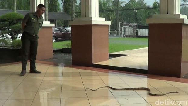 Penampakan Ular Saat Sidang Pembunuhan Siswa SMA Taruna Nusantara