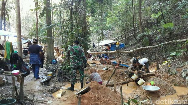 Penampakan Keriuhan Warga di Hutan Kolaka Mencari Serbuk Emas