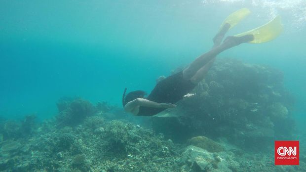 Riang Berlabuh di Kepulauan Karimunjawa