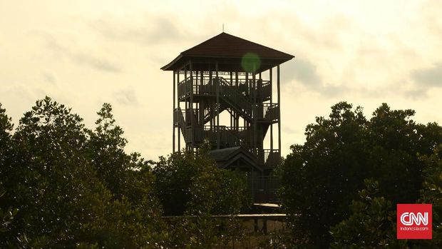 Riang Berlabuh di Kepulauan Karimunjawa