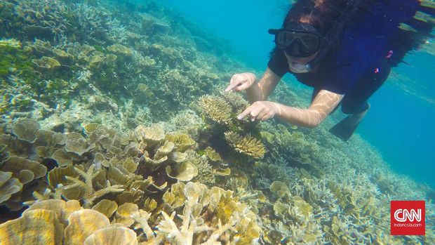 Karimunjawa jadi Andalan Jawa Tengah Rayu Wisatawan China