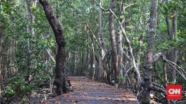 Riang Berlabuh di Kepulauan Karimunjawa