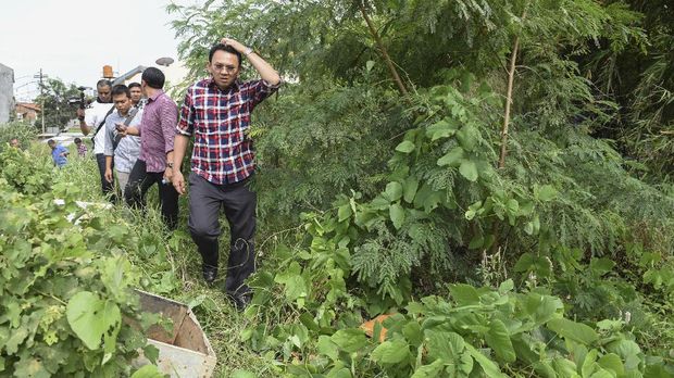 Ahok, Media Darling yang Tak Peduli Pencitraan