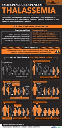 infografis thalassemia