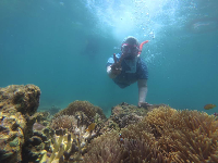 Wisata Snorkeling Gili Ketapang Dongkrak Ekonomi Warga