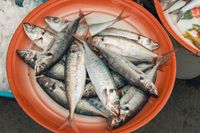 6 Makanan Ini Terpercaya Sebagai Penambah Stamina Pria Agar Tak Mudah Loyo