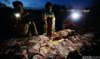 Jual Beli Kanguru Papua di Pasar Gelap Merauke