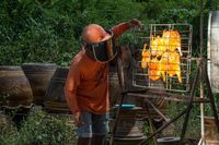 'Solar Chicken' Ini Dimasak Pakai Pantulan Sinar Matahari