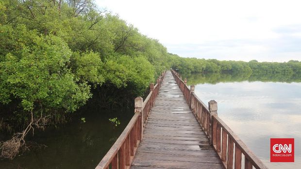Keliling Gili Meno, Surga Tersembunyi nan Romantis di Lombok