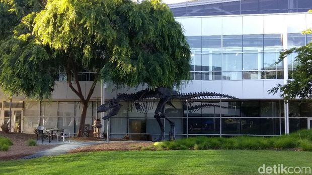 Keliling Kantor Google yang Unik dan Asyik 