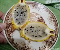 Ini Buah Naga Kuning yang Manis dengan Harga Fantastis